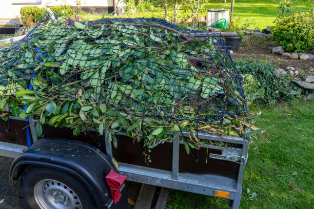 Best Commercial Junk Removal  in Chatham, IL